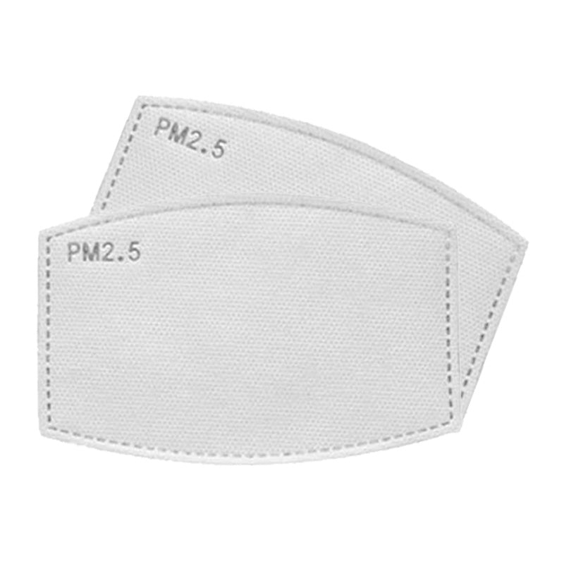 Replaceable Adult Mask Filters (Pack of 2)
